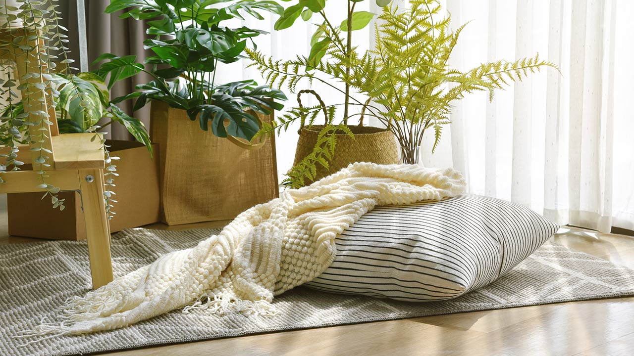 Pillow and soft blanket in relaxing living room with warm natural light and houseplants