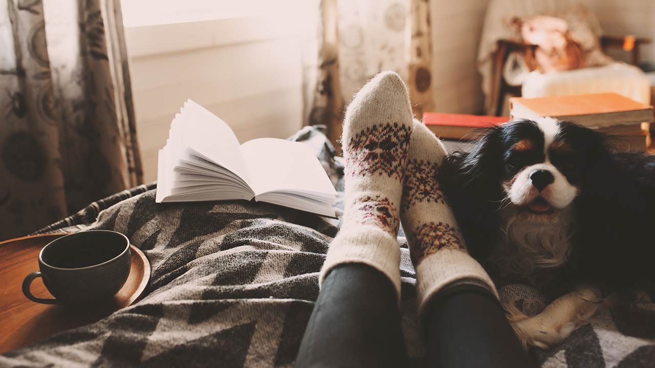 cozy fall day at home with cup of hot tea, book and sleeping dog